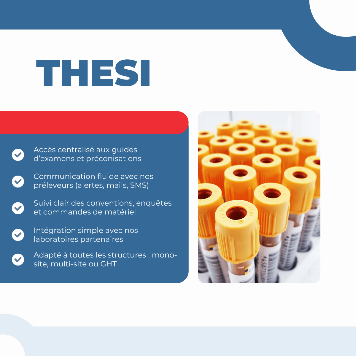 Thesi