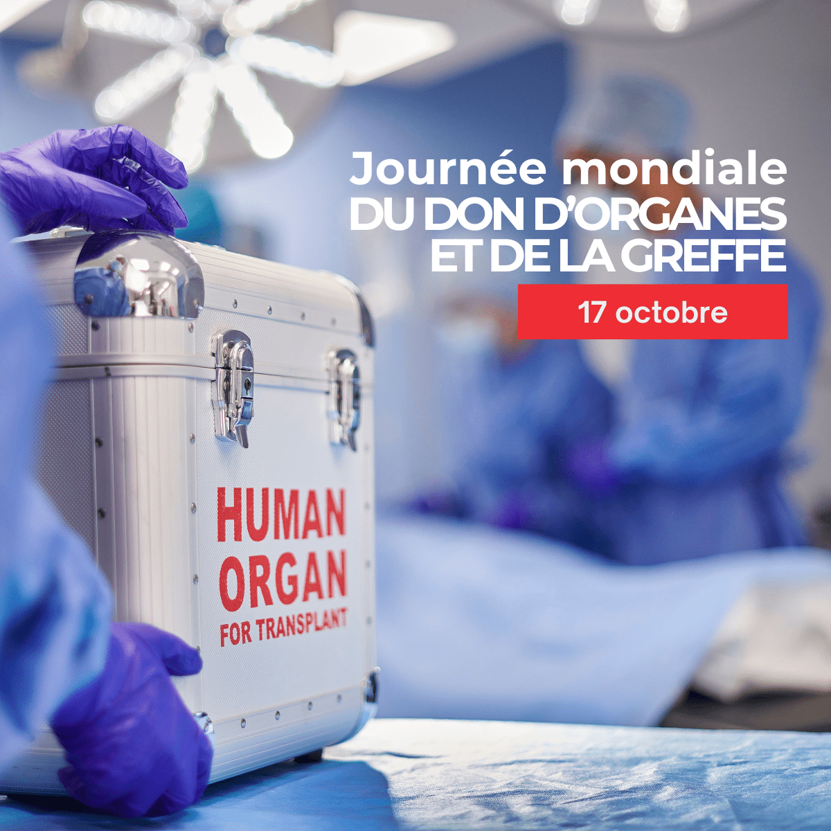 Journée mondiale du don d’organes et de la greffe : un geste qui peut sauver jusqu’à 7 vies  