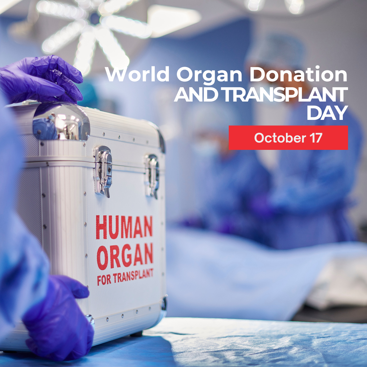 World Organ Donation and Transplant Day