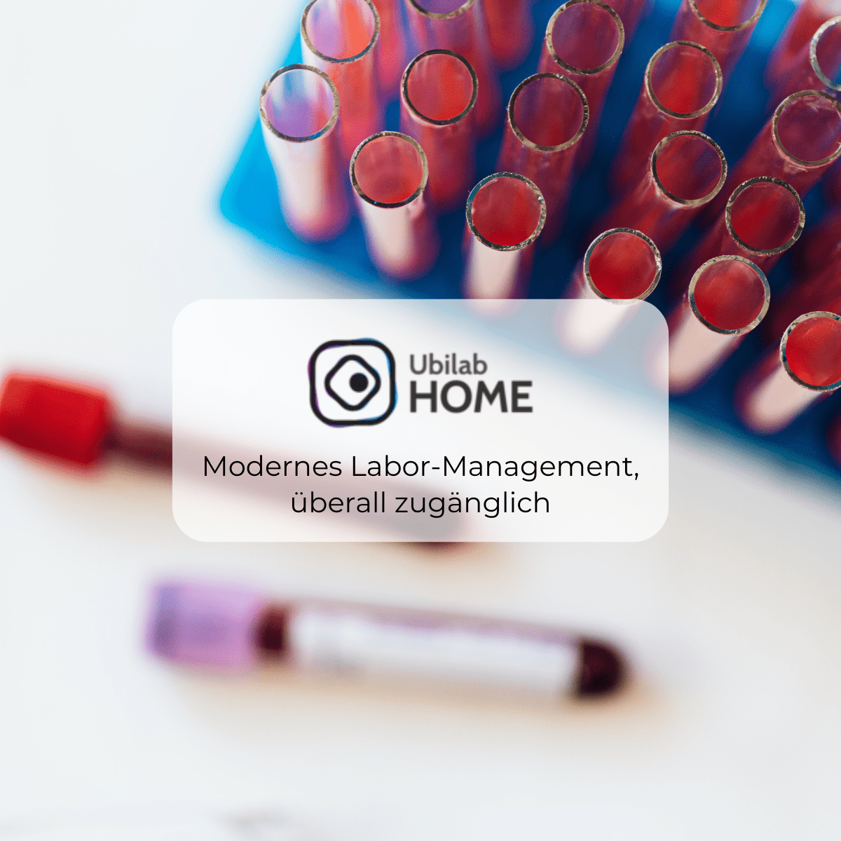 Ubilab Home vereint alle Ihre Daten und Teams auf einer Plattform – für ein 100 % digitales Labor.