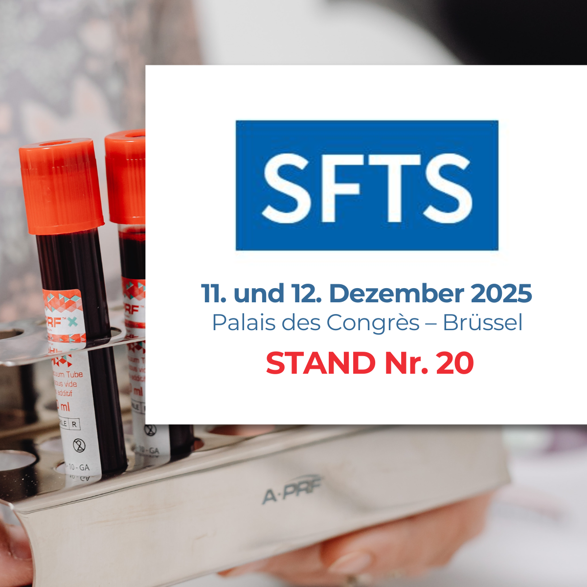 Auf nach Brüssel zum XXXII. SFTS-Kongress!