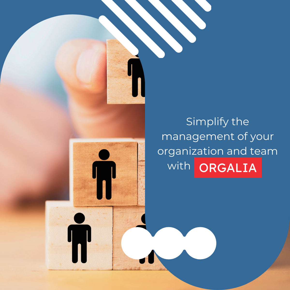 Simplify the management of your organization and team with Orgalia