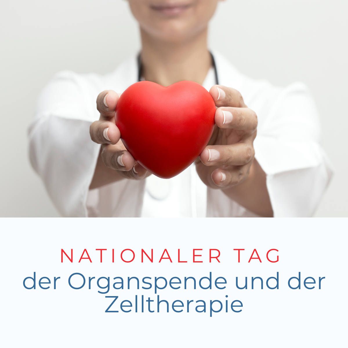Ein Organ zu spenden bedeutet, ein Leben zu verlängern